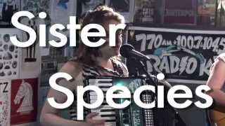 Sister Species  "Sun Arranging Light" (Live on Radio K)