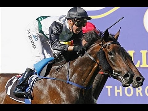 2007 SAJC Australasian Oaks _ R Sangster Stakes Day