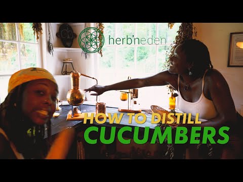 How To Distill Cucumber | How To Make Cucumber Water
