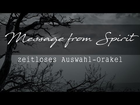 ⭐️ MESSAGE FROM SPIRIT⭐️ Auswahl Orakel | zeitloses Tarot Reading | alle Sternzeichen