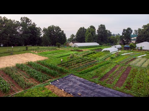 How No-Till Changes a Farm - YouTube