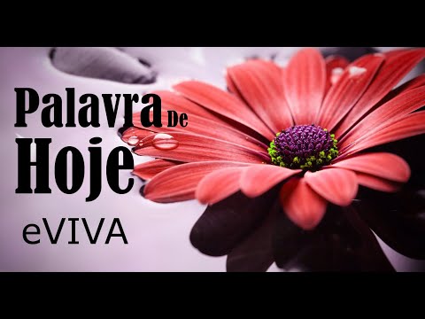 WORD OF THE DAY AUGUST 27, 2023 | DAILY DEVOTIONAL | MOTIVATIONAL AND LIFE REFLECTION eVIVA