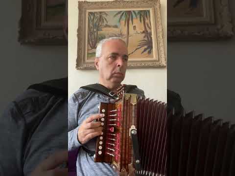 N. Lygeros: The Sally Gardens variation. (Cajun Accordion Martin). #lygeros #music