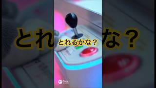 UFOキャッチャーをするそらまる #funny#cute #ねこ
