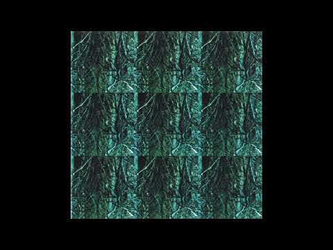 Gas - Nah und Fern (vinyl version)