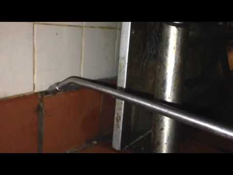 Cockroaches Find a New Home in Commercial Building in Adelphia, NJ