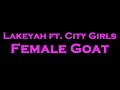 Lakeyah Ft City Girls Female Goat Instrumental