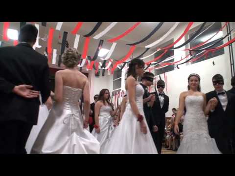 školní ples ZŠ Sokolnice 2016 - vystoupení ZORO