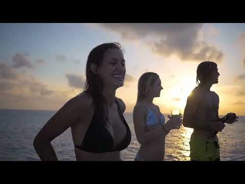 Lost Frequencies - What Is Love ft. Małpa, Taco Hemingawy