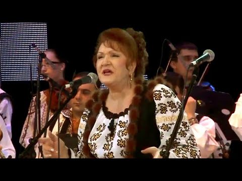 Zinaida Julea - Si am sa i zica acuma una #potcoavadeaur