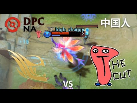 强调 |  felt vs The Cut  (game 1) BO2