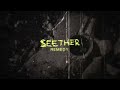 Seether Remedy Acoustic Originals