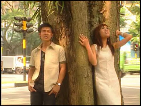 Định mệnh cay đắng - Vân Quang Long