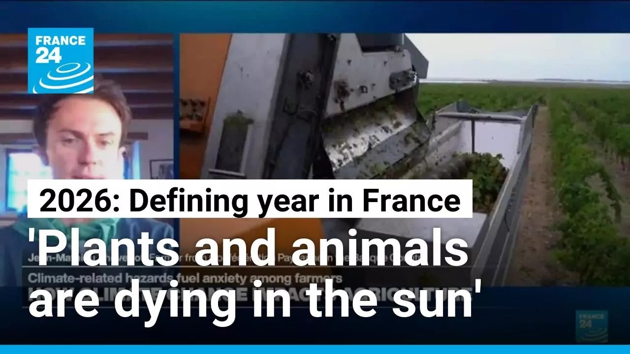 French farmers 'heavily impacted' by climate crisis, both psychologically and economically.