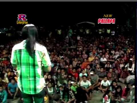 Dingin - New Pallapa Live In Hulaan Menganti Gresik