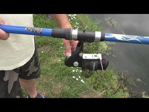 Pecanje u Pisarovini