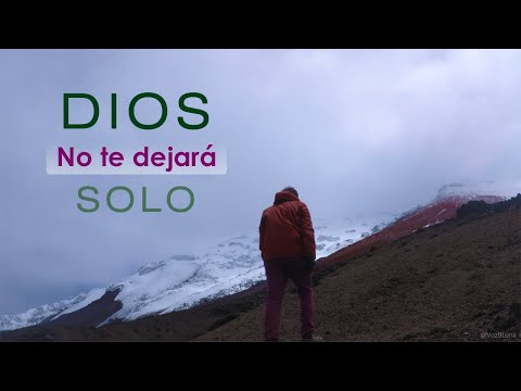 Dios no te dejará solo - Reflexión