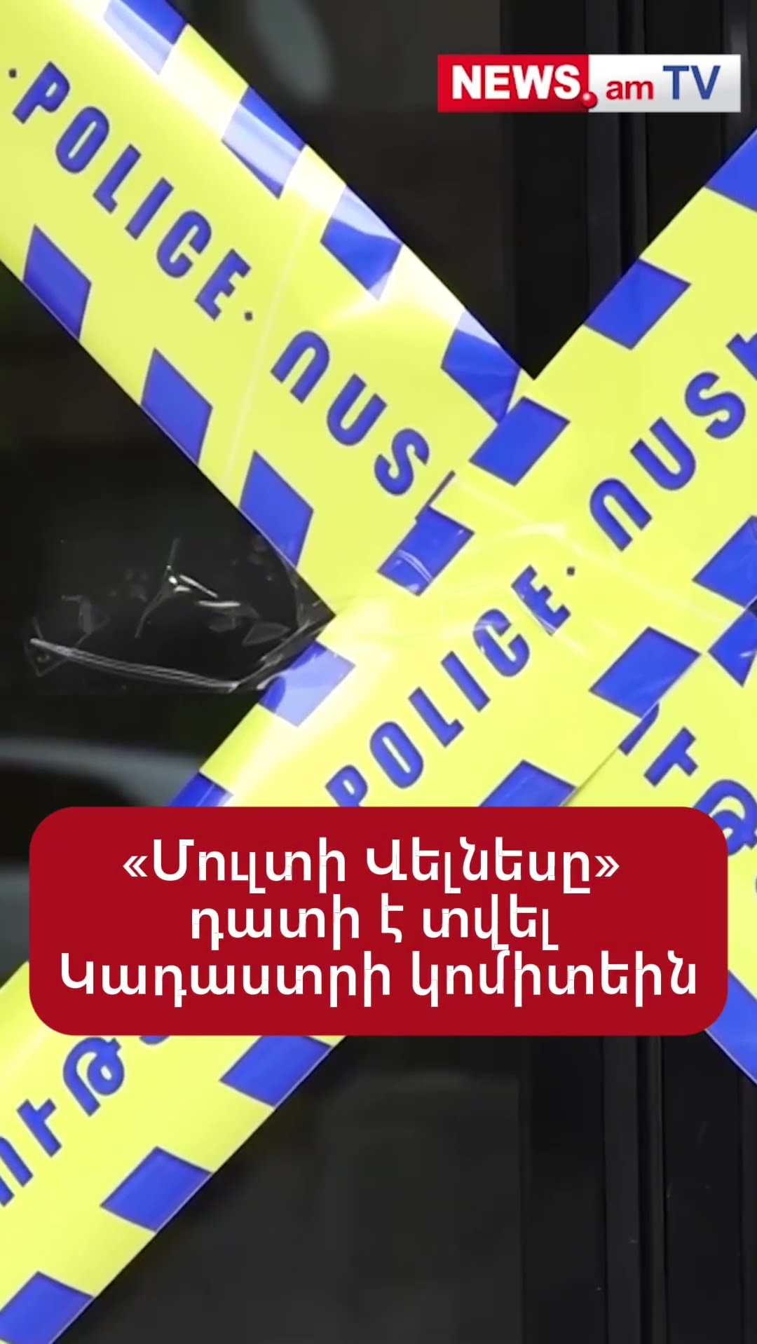 «Մուլտի Վելնեսը» դատի է տվել Կադաստրի կոմիտեին