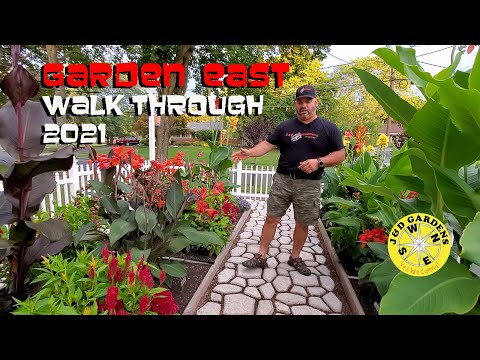 Walk Through of showcase Canna Lily Garden 2021