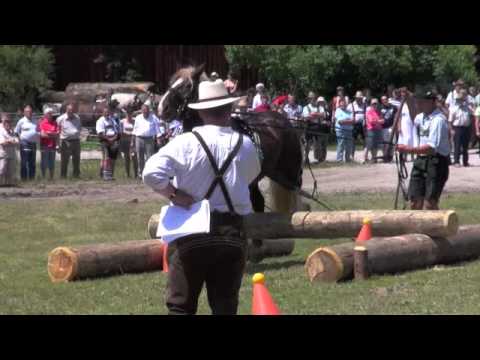 Kaltblut & Haflinger Festival 2012 in Schwaiganger