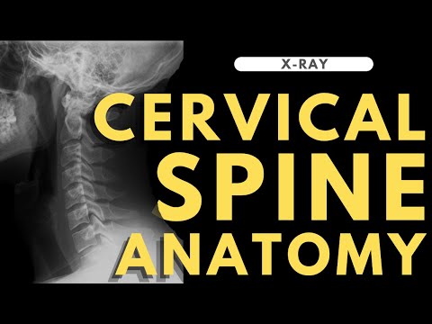 Cervical spine anatomy | Radiology anatomy part 1 prep | C-spine X-ray interpretation