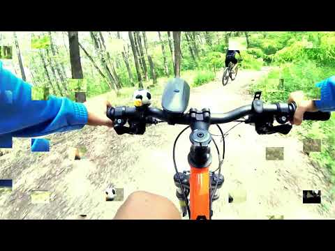 Rock N Roll Forest Downhill Pădurea Dumbrava Sibiu