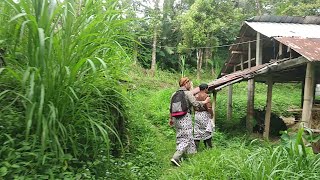 Download lagu Landoh Buffalo Still Alive? mp3