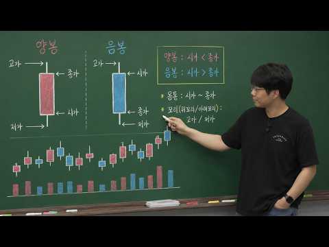 초등학생도 이해하는 차트 기초 15분 정리