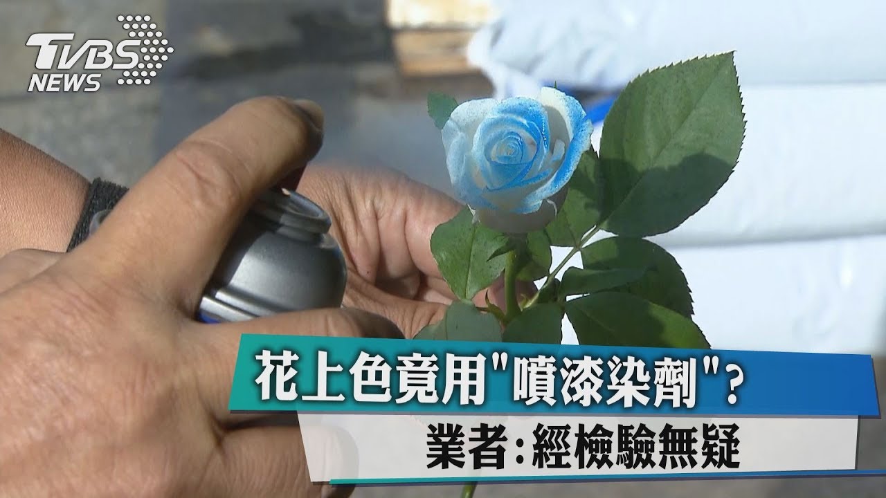 花上色竟用「噴漆染劑」? 業者:經檢驗無疑