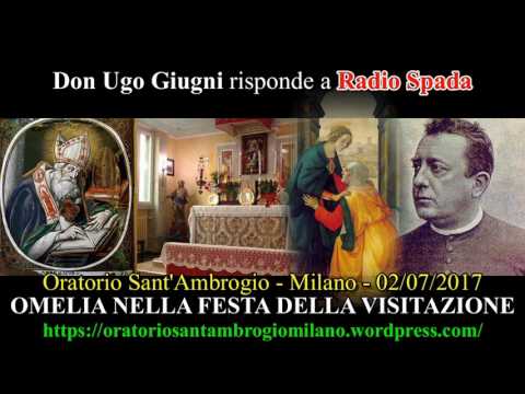 Risposta a Radio Spada. Omelia nella festa della Visitazione - don Giugni