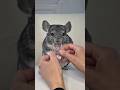 Don’t worry, I’ll be with a fabulous chin sitter while mommy is seeing  @AFIAFIREINSIDE #chinchilla