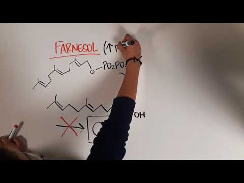 Quorum sensing en hongos