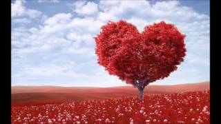 Vince Nantes - Sleep ~ With lyrics