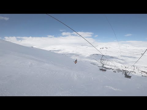 Max Palm SBMVC 2020 edit