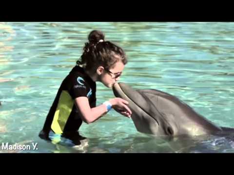 Annie and Hayley- Stand by you