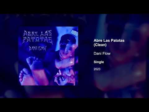 Dani Flow - Abre Las Patotas (Clean version)