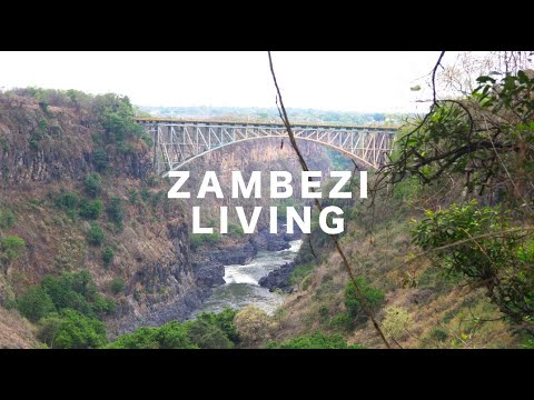 Aaron Fisher and Chasing The Flow