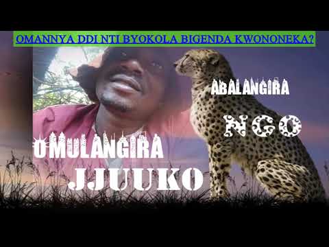 Omanya ddi nti byokola bigenda kwononeka? - Omulangira Jjuuko Munabuddu