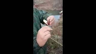 На какой хлеб клюет рыба