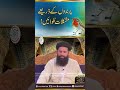 Parindon Ke Zarye Mushkilat Talwain Ubqari Shortsvideo