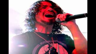 Soundgarden- I can&#39;t give you anything *Ramones Cover*