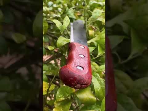V&iacute;deo 8