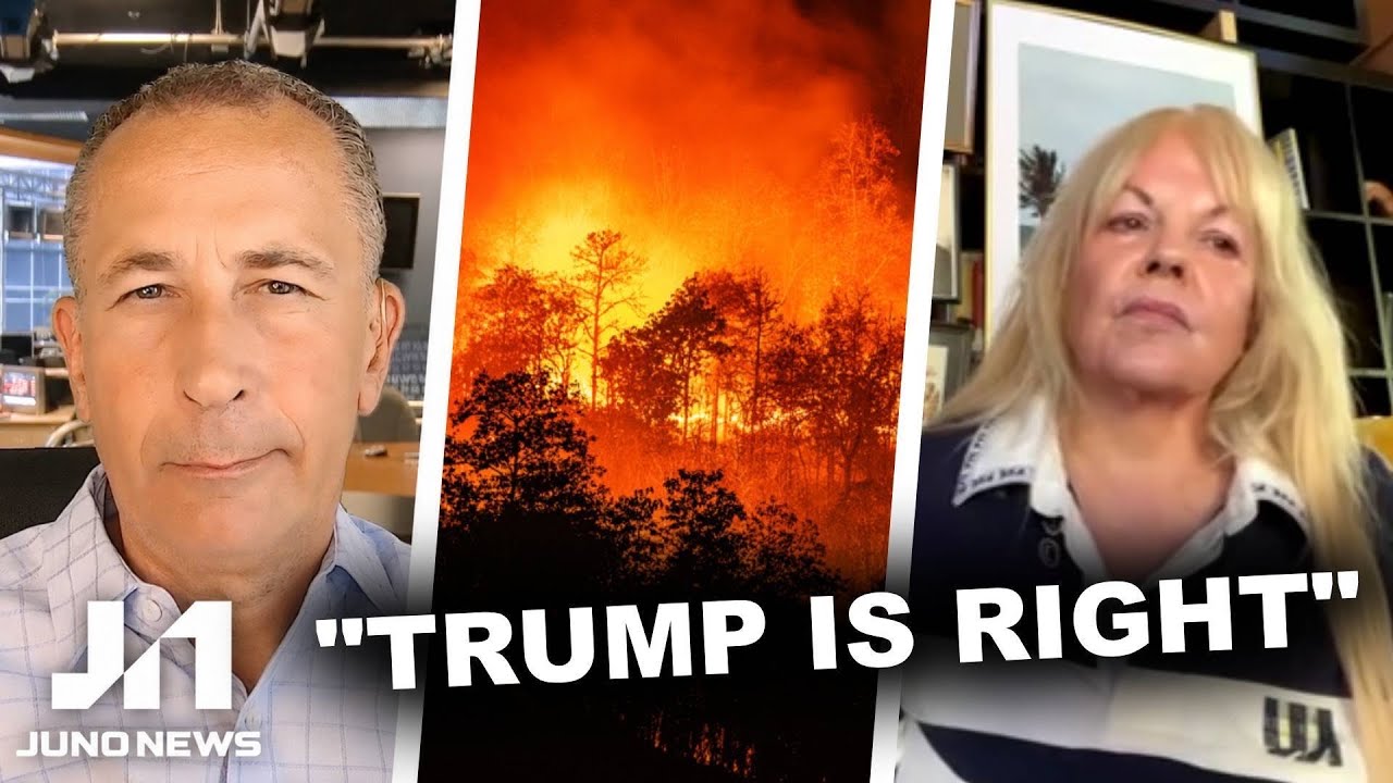 Is Donald Trump right about Canada’s wildfires?