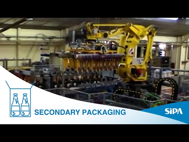 Robby Pack: Robotic case packer