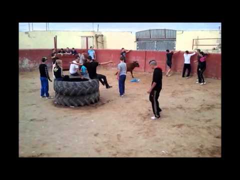 CAPEA BONA BONA! 3.11.12