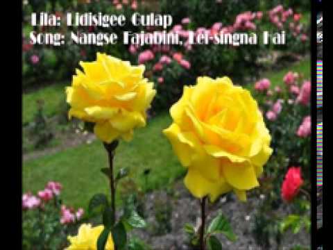 Nangse Fajabini, Lei-singna Hai