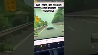 Two Teslas, One Mission: Avoid Collision Showdown