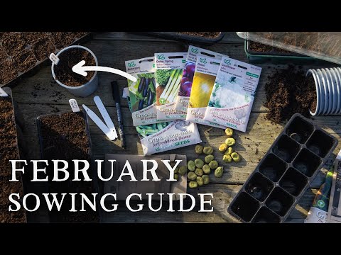 February Planting: What to Sow & What to Skip (Northern H)