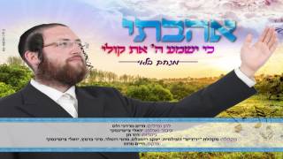 מנחם בלוי - אהבתי | Menachem Blau - Uhavti
