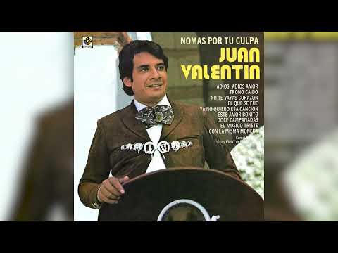 Juan Valentin - Nomás Por Tu Culpa (Visualizador Oficial)
